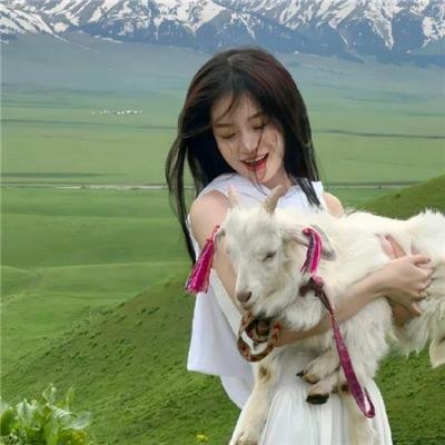 拦截火狐狸
